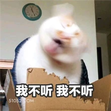 我不听我不听 猫猫 不不听不听