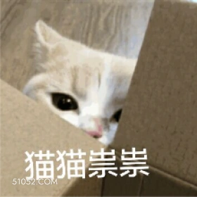 猫猫祟祟 猫猫 鬼鬼祟祟