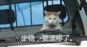 坐稳，要漂移了 猫猫 老司机 漂移