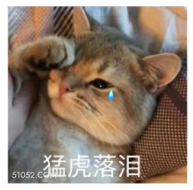 猛虎落泪 猫猫 难过 流泪