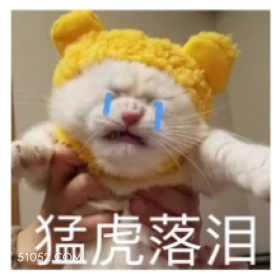 猛虎落泪 猫猫 难过 流泪