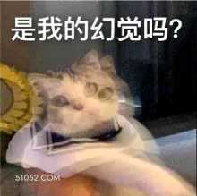 是我的幻觉吗？ 猫猫 精神恍惚 幻觉 重影