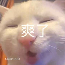 爽了 猫猫 舒服 爽 哦吼