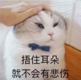 捂住耳朵 就不会有悲 难过 猫猫 捂耳朵