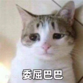 委屈巴巴 猫猫 委屈