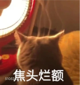 焦头烂额 猫猫 焦头烂额