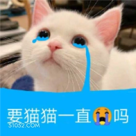 要猫猫一直吗 伤心 流泪 猫猫 emo 哭唧唧