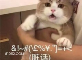 &!~#E%￥=+  猫猫 脏话 骂