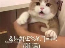 &!~#E%￥=+  猫猫 脏话 骂