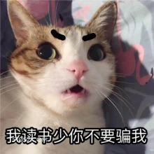 我读书少你不要骗我 猫猫 别骗我 读书少