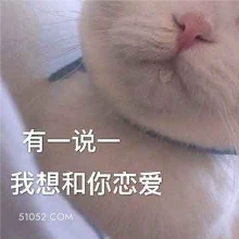 猫猫流口水想恋爱 猫猫 流口水 想恋爱