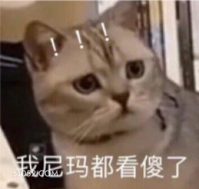 我尼玛都看傻了 猫猫 我傻了 ！