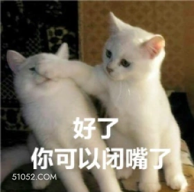 好了 你可以闭嘴了 猫猫 闭嘴