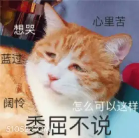 想哭 心里苦 蓝过  猫猫 委屈