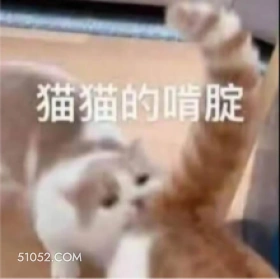 猫猫的啃腚 猫猫 肯定