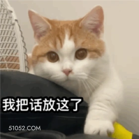 我把话放这了 猫猫 生气 我把话放这了