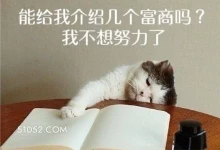 猫猫不想努力累了 猫猫 不想努力 累了