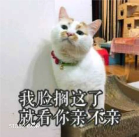 我脸搁这了 就看你亲 猫猫 傲娇 亲亲 亲我