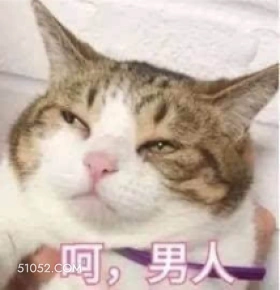 呵，男人 猫猫 呵