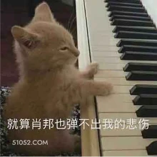 就算肖邦也弹不出我的 悲伤那么大 猫猫 弹钢琴