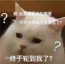 ? 哟这是哪里来的稀 猫猫 稀客