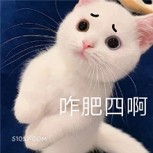 咋肥四啊 猫猫 怎么回事 怎么了 咋了