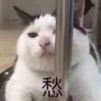 愁 猫猫 发愁 愁