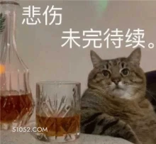 悲伤 未完待续。 猫猫 悲伤那么大