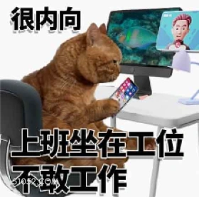 很内向 上班坐在工位 打工人 内向 摸鱼 猫猫