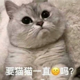 要猫猫一直吗? 猫猫 emo 难过