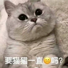 要猫猫一直吗？ 猫猫 emo 难过