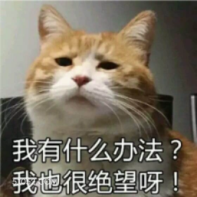 我有什么办法？ 我也 猫猫 没办法 绝望