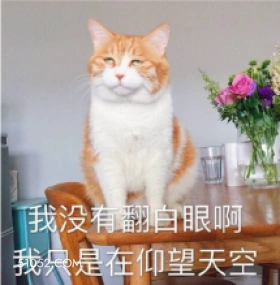 我没有翻白眼啊 我只 猫猫 翻白眼