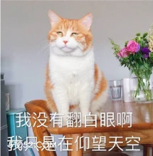 我没有翻白眼啊 我只 猫猫 翻白眼