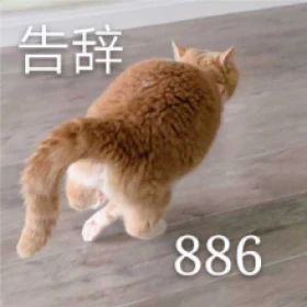 告辞 886 猫猫 拜拜 88