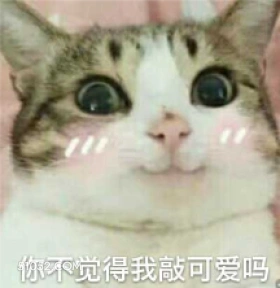 你不觉得我敲可爱吗 猫猫 等夸奖 我可爱吗