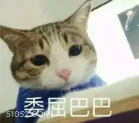 委屈巴巴 猫猫 委屈