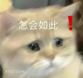 怎会如此 ,! 猫猫 不可置信 怎么会这样 委屈巴巴