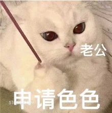 老公 申请色色 猫猫 想色色 想老公 想贴贴