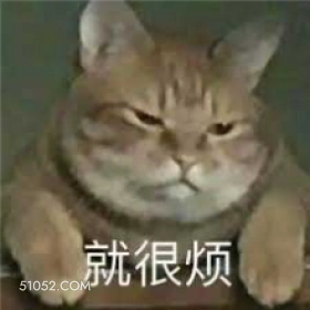 就很烦 烦躁 猫猫 好烦