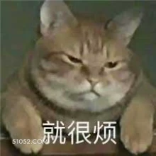 就很烦 烦躁 猫猫 好烦