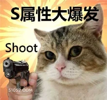 S属性大爆发 Sho 猫猫 射击 去死