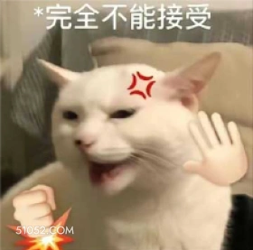 *完全不能接受 不能接受 拒绝 恼怒 猫猫