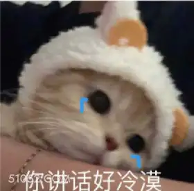 你讲话好冷漠 猫猫 流泪 哭唧唧