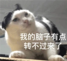 我的脑子有点 转不过 猫猫 脑子短路