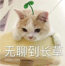 无聊到长草 猫猫 无聊