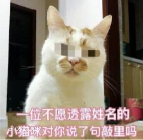 位不愿透露姓名的 小 猫猫 说脏话 骂人