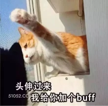 头伸过来 我给你加个 猫猫 打 给你一拳