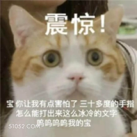 震惊！ 宝你让我有点 猫猫 震惊 害怕