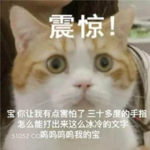 震惊！ 宝你让我有点 猫猫 震惊 害怕